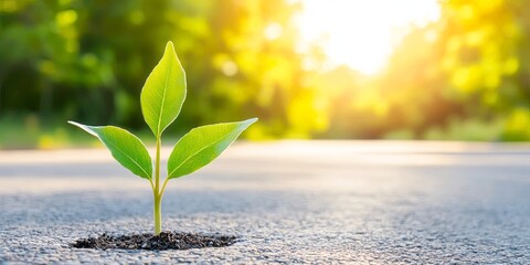 A roadmap for success, outlining a clear mission, strategic vision, and actionable steps to achieve sustainable growth.