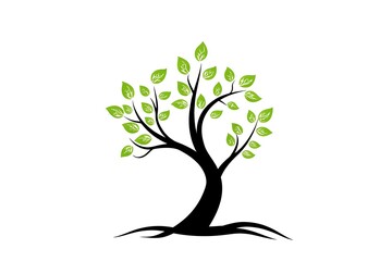 Obraz premium holistic health