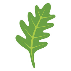 Simple green oak leaf illustration with detailed veins isolated on transparent background. Perfect for botanical, nature, and eco-themed designs. Vector art