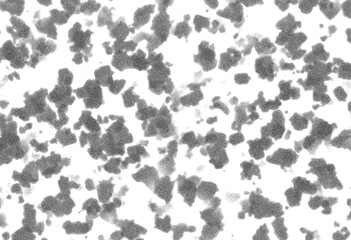 Abstract grunge black and white distressed texture background, Isolated on transparent background, PNG	