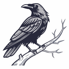 Fototapeta premium crow