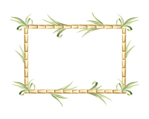 Sugar cane stalks with leaves watercolor horizontal frame isolated. Border with copy space from of sweet stems for sugar production. Hand drawn illustration of bamboo shoots. Template for food design.