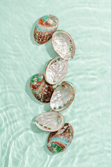 Abalone seashells floating on clear turquoise water with sun glare and waves. Shells of natural...