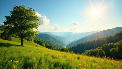 Obraz premium Sunny landscape with trees and hills , sunshine, mountains