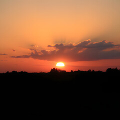 Fototapeta premium beautiful sunset