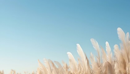 Obraz premium A serene view of soft, wispy grass swaying gently under a clear blue sky, creating a calming and peaceful atmosphere.