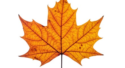 Autumn's Embrace AI Generated