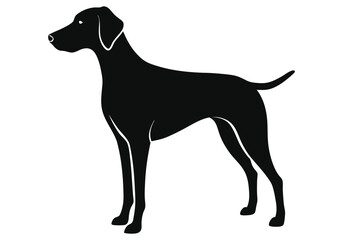 black labrador retriever silhouette dog isolated on white background