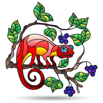 Illustration in the style of a stained glass window with bright chameleon, bright animal isolated on a white background