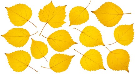 Fototapeta premium Golden Autumn Leaves AI Generated
