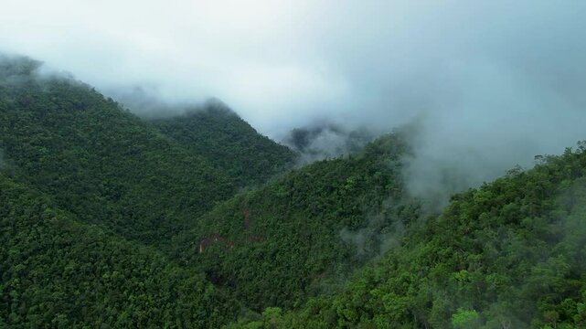 Low clouds moving through steep forested Palawan mountain valleys near Estrella Waterfall with dense tropical jungle below