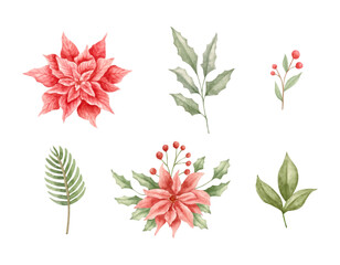 Watercolor Christmas floral elements set