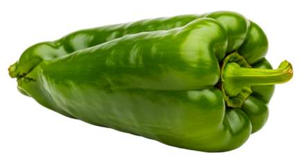 Close up studio shot of a single green bell pepper with stem on a plain black background isolated view