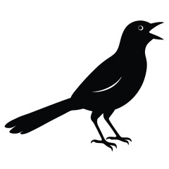 Obraz premium Magpie bird silhouette vector art illustration