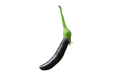 eggplant photo transparent background