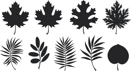 black silhouettes of leaves