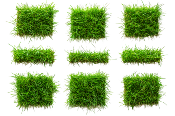 Collection of Lush Green Grass Patches