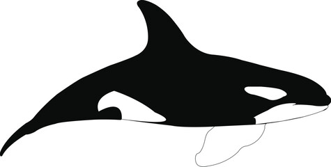 ORCA WHALE SILHOUETTE