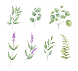 Watercolor set of colorful flowers and leaves