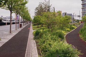 jogging track in the park on the embankment