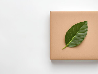 Cardboard packaging with green leaf on top symbolizes eco friendly practices