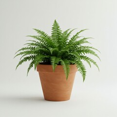 Obraz premium Lush Fern in Terracotta Pot Against a Clean Background