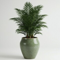 Obraz premium Stylish Palm Tree in a Textured Green Pot