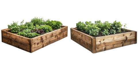 Wooden Raised Garden Beds with Fresh Vegetables and Herbs Growth