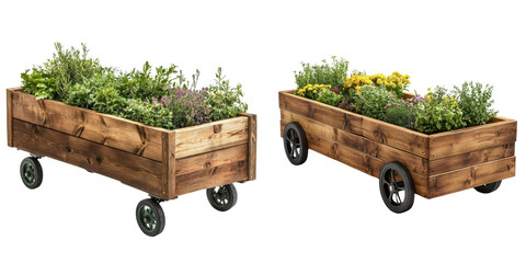 Rustic Wooden Garden Carts Full of Colorful Fresh Herbs and Flowers
