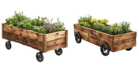 Rustic Wooden Garden Carts Full of Colorful Fresh Herbs and Flowers