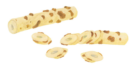 水彩で描いた焼きちくわのイラスト