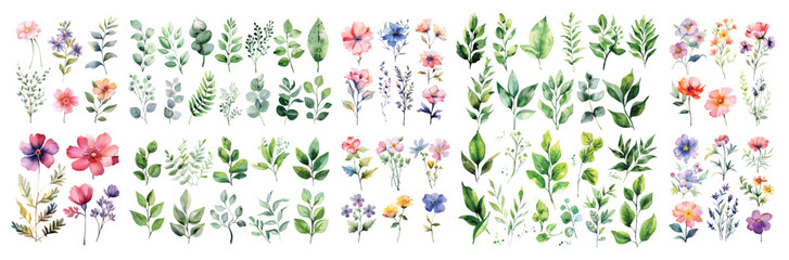 Set of green watercolor leaves and flowers  on isolated background. watercolor floral package collection. Use by fabric, fashion, wedding invitation, template, romance, greeting, spring, bouquet	