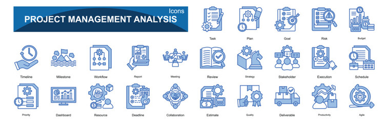  Project Management Analysis