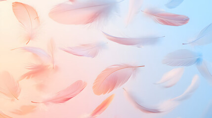 flower, pink, nature, floral, spring, beauty, petal, flowers, macro, blossom, plant, petals, flora, bloom, summer, tulip, color, garden, daisy, closeup, beautiful, lily, close-up, bouquet, gerbera