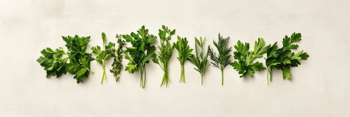 Obraz premium Fresh herbs displayed