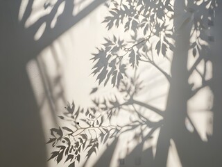 Soft Abstract Tree Leaf Shadows on a White Wall – Minimalist, Natural, and Serene Light Play