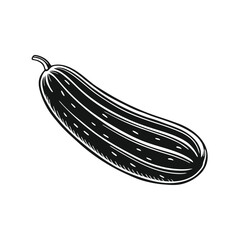 Cucumber vector illustration, isolated on a white background.