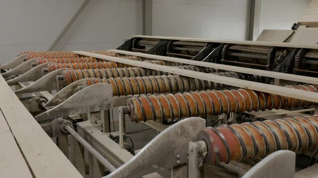 Wooden planks moving through an industrial roller conveyor system at a sawmill or timber processing plant, showing part of the automated sorting and transport line
