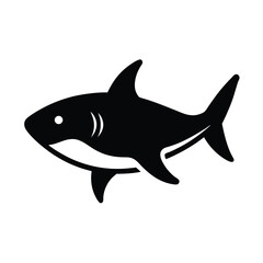 shark vector illustration