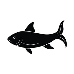 Shark vector illustration isolated on white background
