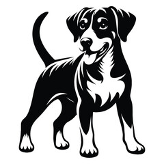 black labrador retriever dog