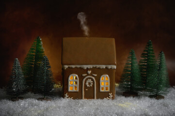 Gingerbread house in snow