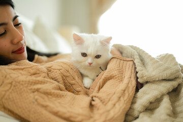 Young Asian woman lay down on bed while white fluffy kitten sitting on her chest under blanket....