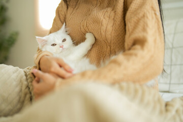 Young Asian woman in brown sweater sitting on bed and embrace her white fluffy kitten , looking at...