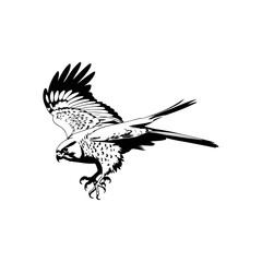 A black and white vector silhouette of an elegant kestrel perched gracefully with sharp details on a white background