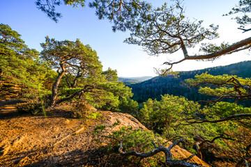 Landscape at the Buchkammerfels near Busenberg. Nature at the Heidenberg with red sandstone cliffs and forests in the Palatinate region.
