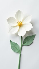 Obraz premium Delicate white paper flower on clean white background, minimalistic floral design, isolated, background, floral