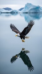 Obraz premium Eagle spreads its wings on the glacier