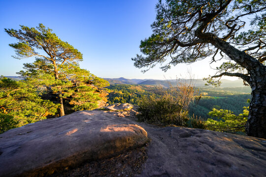 Landscape at the Schl&uuml;sselfels near Erlenbach near Dahn. Nature at the Heidenberg with red sandstone cliffs and forests in the Palatinate.
