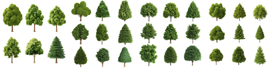 An assortment of different tree species and lush green foliage showcasing the diversity and beauty of natural vegetation